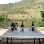 Douro tasting