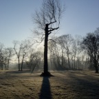 Bordeaux winter